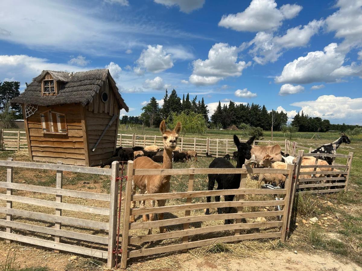 A La Ferme Avec Piscine Holiday home