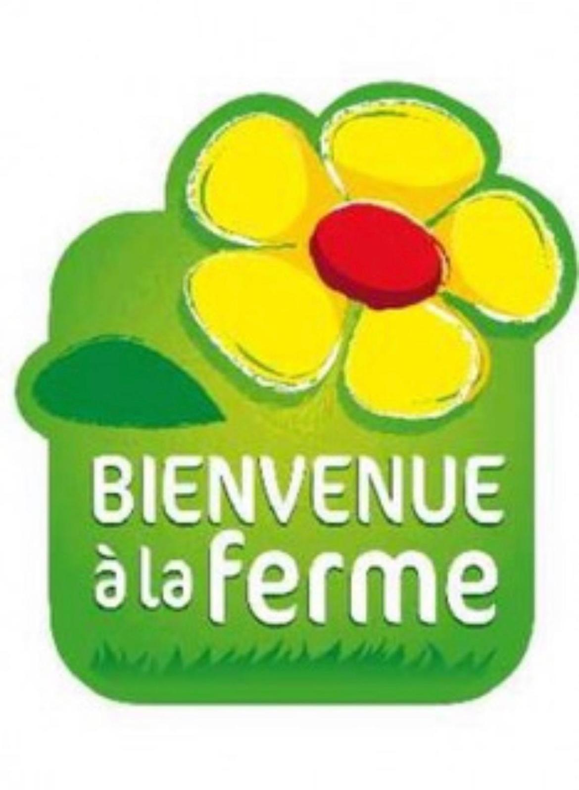 Holiday home A La Ferme Avec Piscine Arles